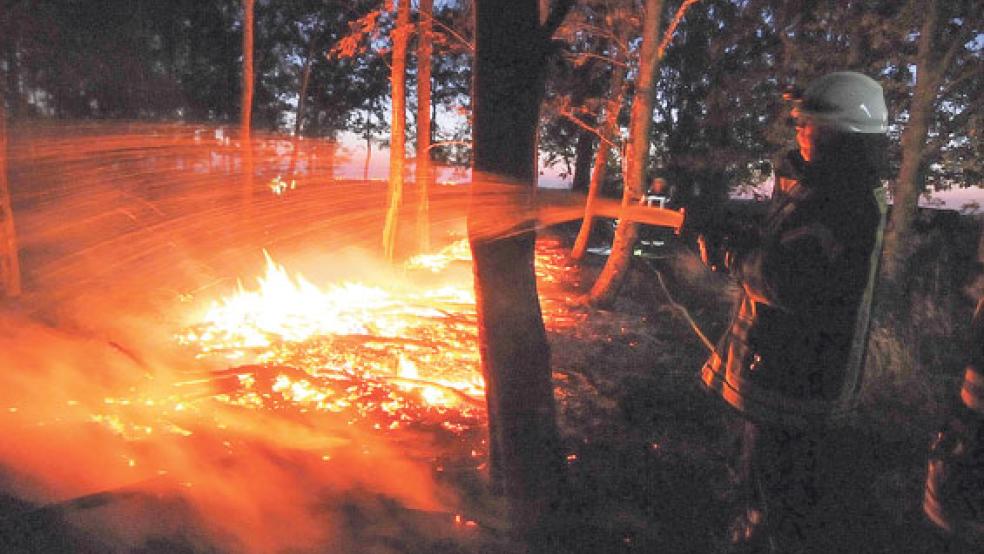 Zwei Stunden war die Feuerwehr Jemgum am späten Dienstagabend im Einsatz. Die Ursache für den Brand im Midlumer Wäldchen ist bisher noch nicht klar. © Foto: Wolters