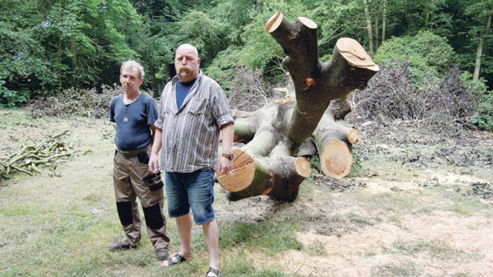 Auf der Wiese und vor der gefällten Buche: Parkarbeiter Rainer Strohmann (links) und ISP-Vorsitzender Adolf Freese. © Foto: Hoegen