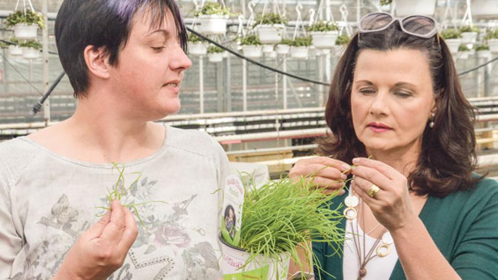Gitta Connemann (rechts) scheute sich nicht, auch mal ein Stück Katzengras oder ein Blatt Ackersalat zu probieren. © Foto: Muising