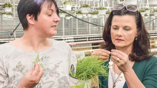 Grüne Leckereien für die tierischen Mitbewohner