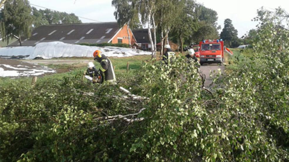 Vor allem umgestürzte Bäume und abgebrochene Äste blieben nach dem Unwetter zurück, so wie hier in Steenfelde. © Foto: Kreisfeuerwehr