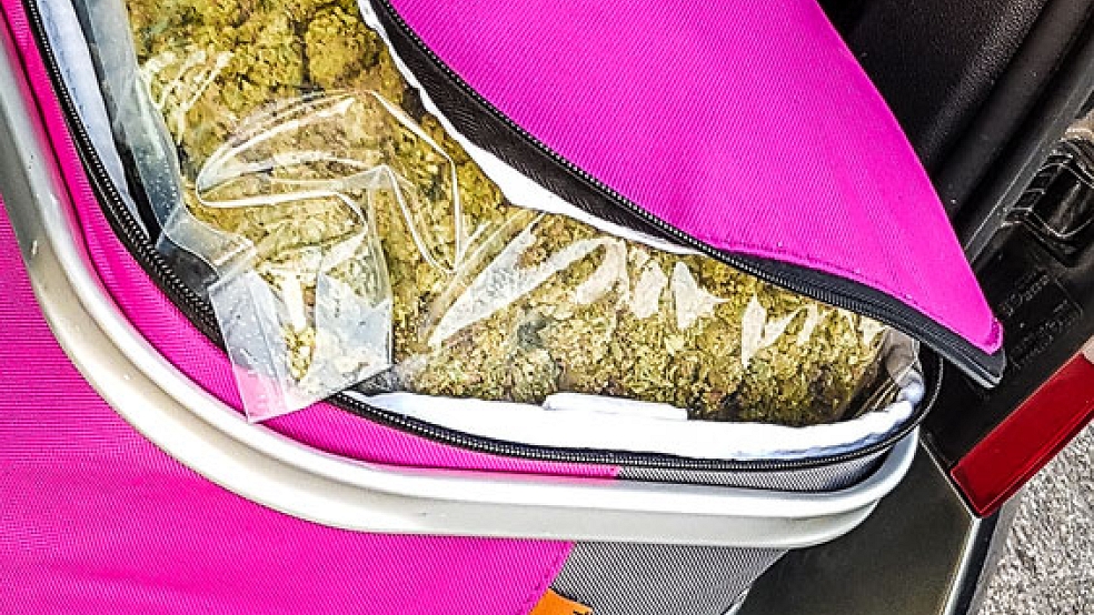 Der Drogenfund: 2,3 Kilogramm Marihuana lagen in diesem Einkaufkorb, den der Zoll im Kofferraum eines Autos sicherstellte. © Foto: Hauptzollamt Oldenburg
