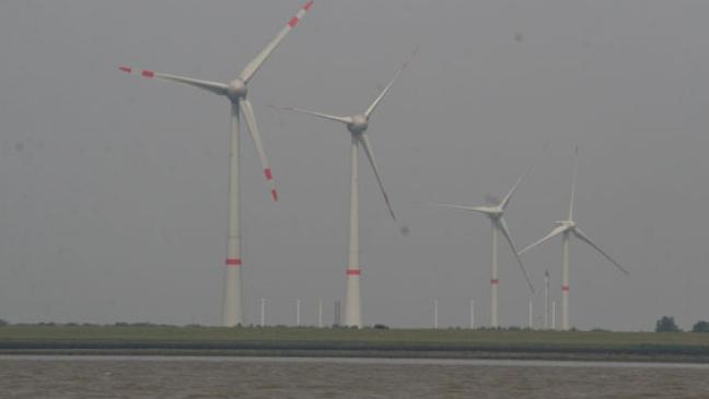 Enercon-Kahlschlag: Runder Tisch?