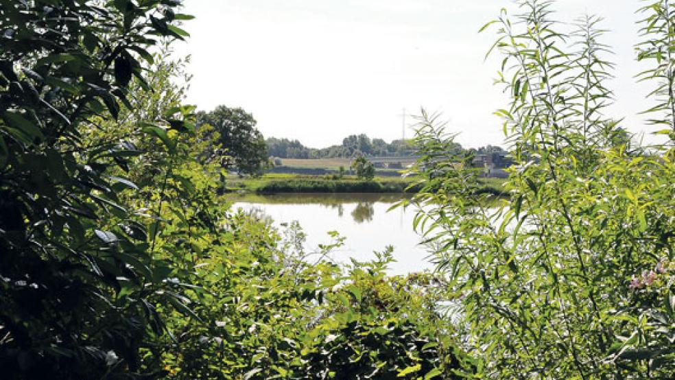 Auch der Badesee soll im nächsten Jahr wieder genutzt werden können.  © Fotos: Boelmann