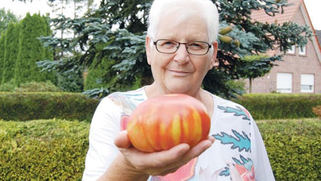 Fast ein Pfund bringt Tomate auf die Waage