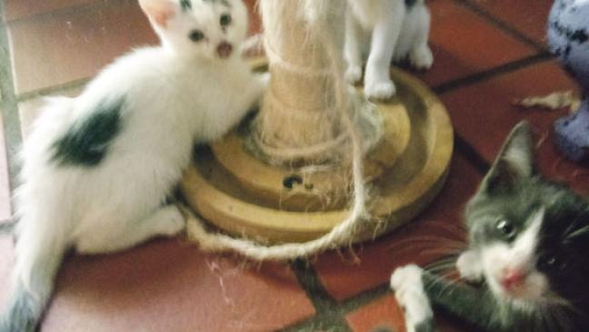 Kein Kavaliersdelikt