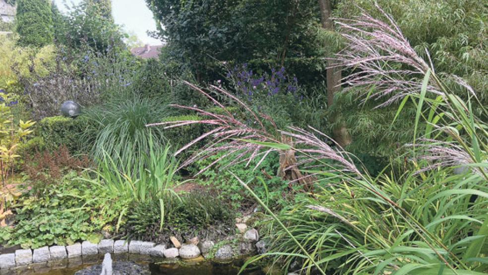 Bei der Garten-Estafette der Vereinigung »Groei & Bloei« ist auch das Rheiderland vertreten. © Foto: privat