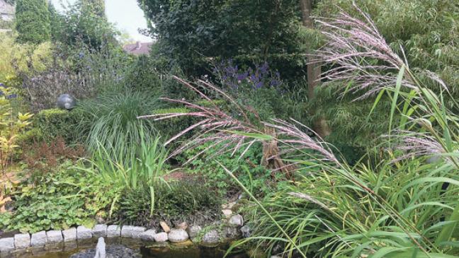 In Schoonevelds  schönem Garten