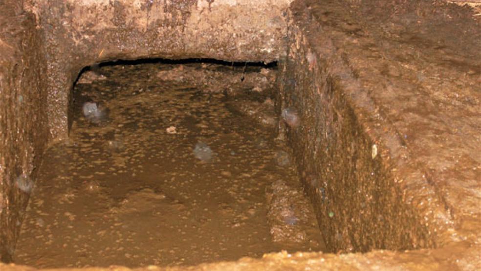 Auf einem Hof im Landkreis Aurich sind zwei Rinder in einen Güllekeller gestürzt. Die Feuerwehr musste helfen. © Foto: Feuerwehr