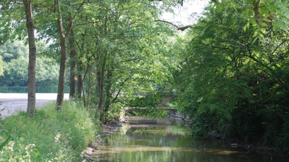 Idyllisch,aber nicht ungefährlich: Das Jemgumer Sieltief. © Archivfoto: Hoegen
