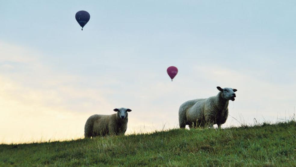 Der Termin für das nächste Papenburger Ballonfestival steht schon fest. Viele Ballons waren auch vom Rheiderland aus zu sehen.. © Foto: Denekas