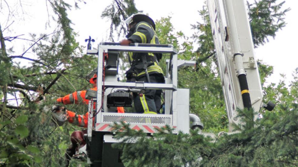Die Feuerwehrleute setzten die Kettensäge ein, um die Gefahrenquelle zu beseitigen. © Foto: Rand (Feuerwehr)