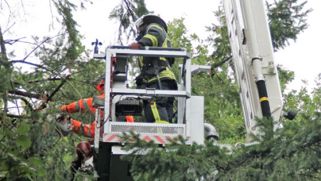Ast drohte auf Bürgersteig zu fallen