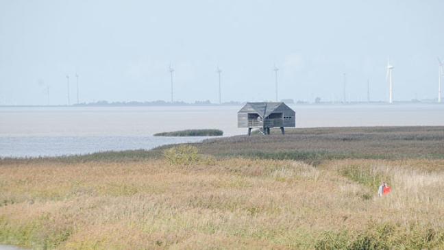 »Kiekkaaste« einen Monat komplett gesperrt