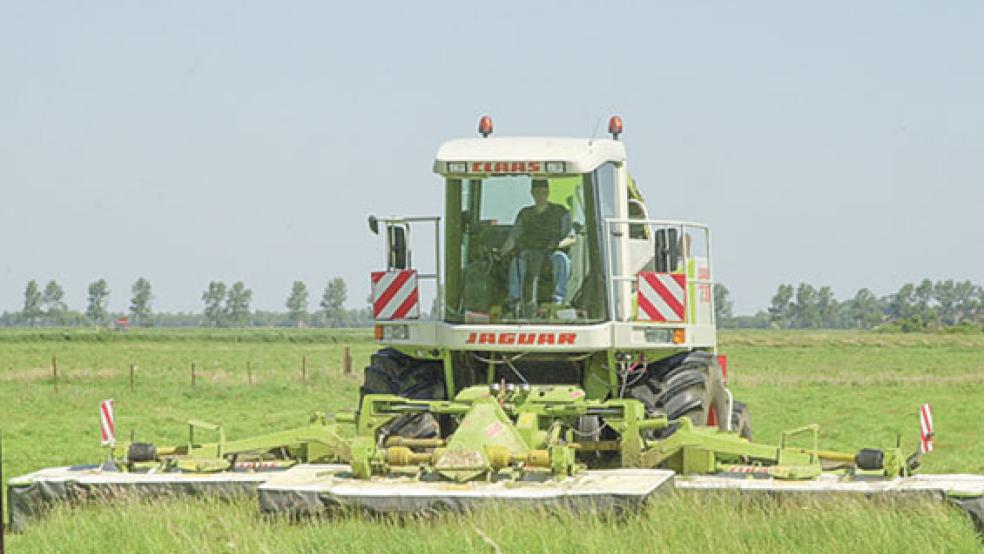 Die wochenlange Dürre hat auch Landwirten aus dem Kreis Leer massive Einbußen beschert.  © Symbolfoto: RZ-Archiv