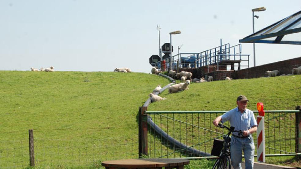 Hafen und Schleuse gehören mit zu den Kernbereichen der Hafen und Tourismus GmbH, sie ist eine 100-prozentige Tochter der Stadt Weener. © Foto: Hoegen