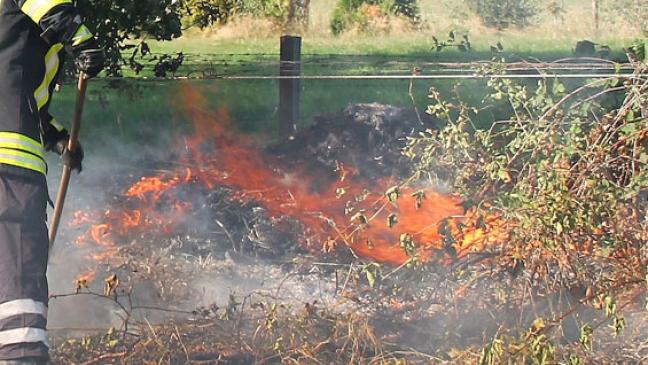 20 Meter Böschung in Brand geraten