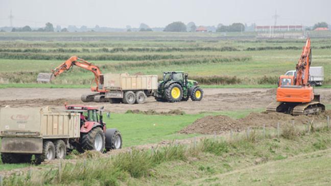 Wiesenvögel mögen’s nass