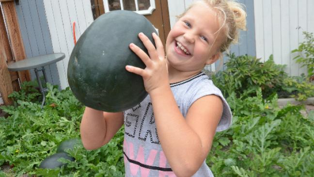 Wo Melonen vor der Tür wachsen