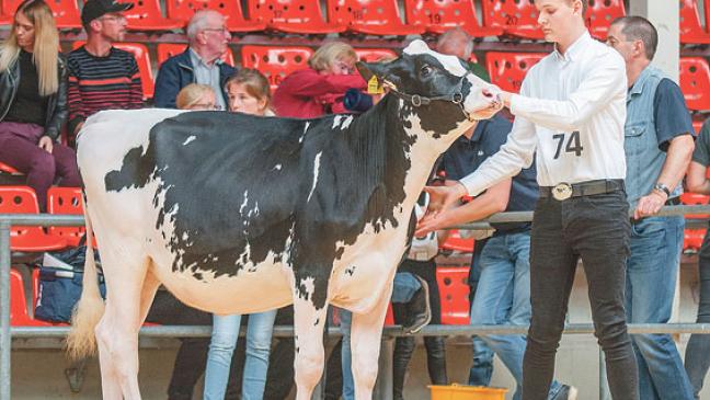 Drei zweite Plätze gehen ins Rheiderland