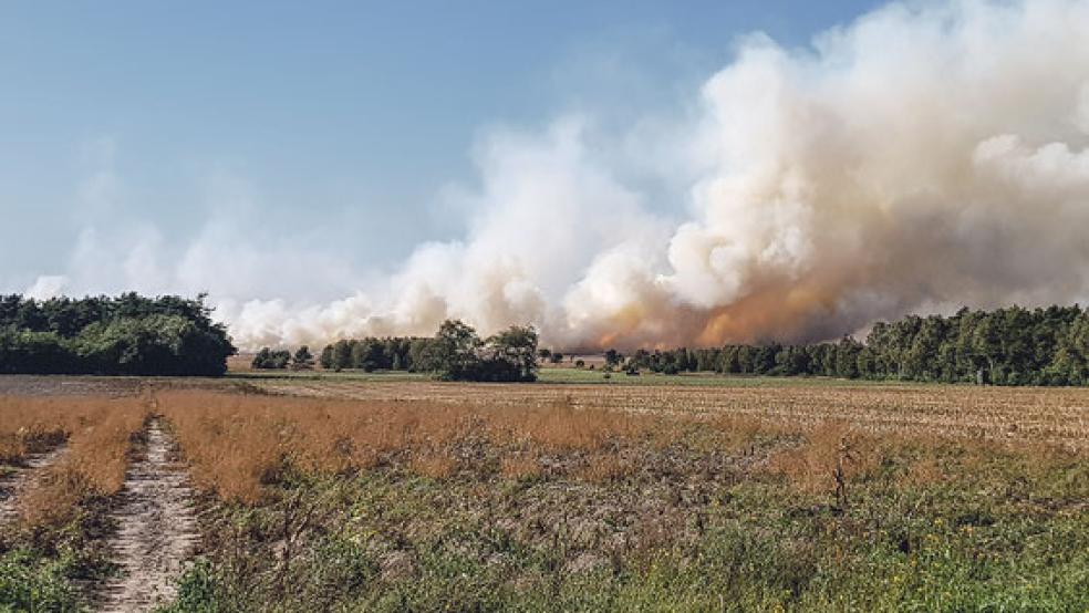 Das Moor im Bereich Meppen brennt seit zwei Wochen. © Foto: de Winter