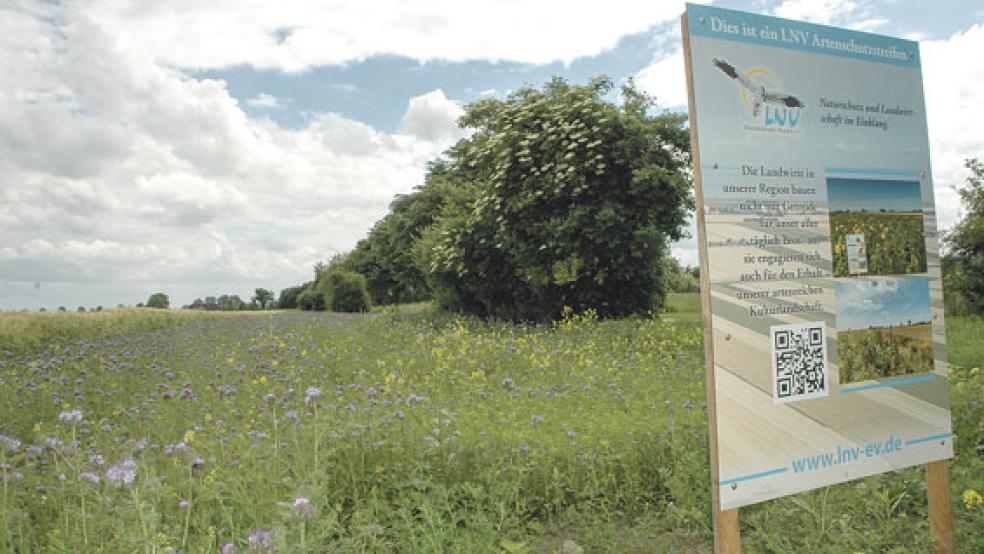 Solche blühenden Artenschutzstreifen wie dieser in Charlottenpolder, den der Landwirtschaftliche Naturverein »Rheiderländer Marsch« (LNV) angelegt hat, sollen im kommenden Jahr in der Gemeinde Jemgum entstehen. © Archivfoto: Szyska