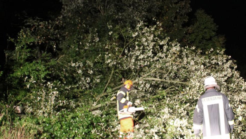 Die Einsatzkräfte der Feuerwehr Weener beseitigten im Hessering einen Sturmschaden. © Foto: Rand (Feuerwehr)