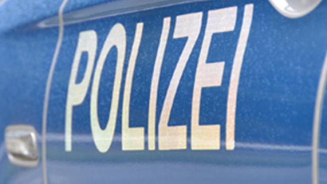 Durch Insekt gestört: In Gegenverkehr geraten