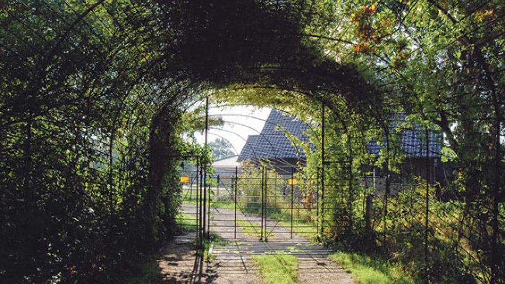 Wer aus dem Eingangstor des Hessparks schaut, der blickt direkt auf die Häuser eines Neubaugebietes. Die Umgebung des Parks hat sich einschneidend verändert. © Foto: Hoegen