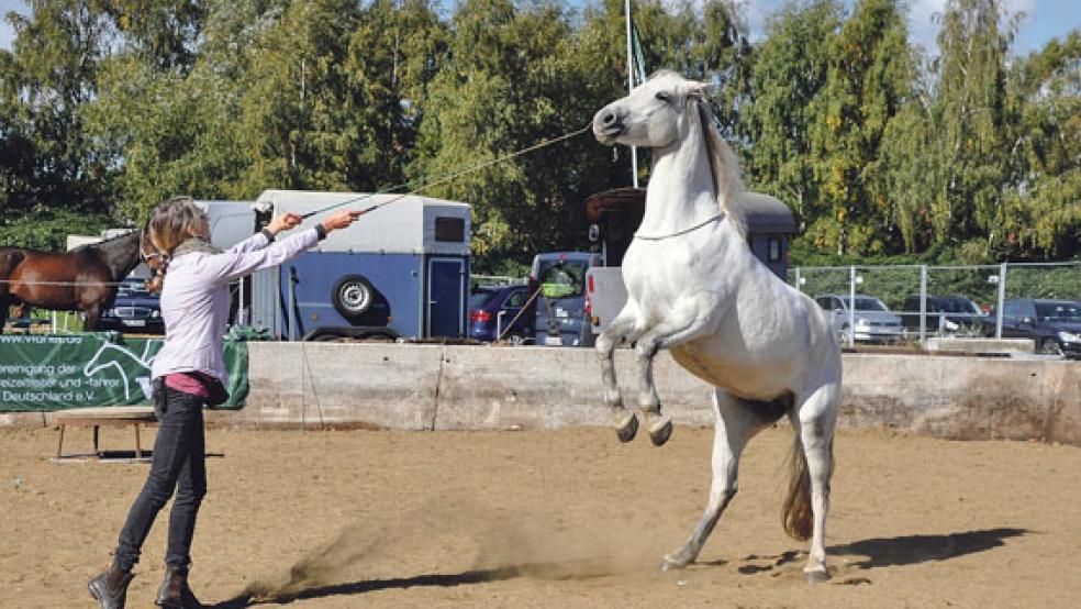 Auf dem Außengelände der 37. Leeraner Ostfrieslandschau auf der Nesse wurde den Besuchern einiges geboten. © Fotos: Boelmann