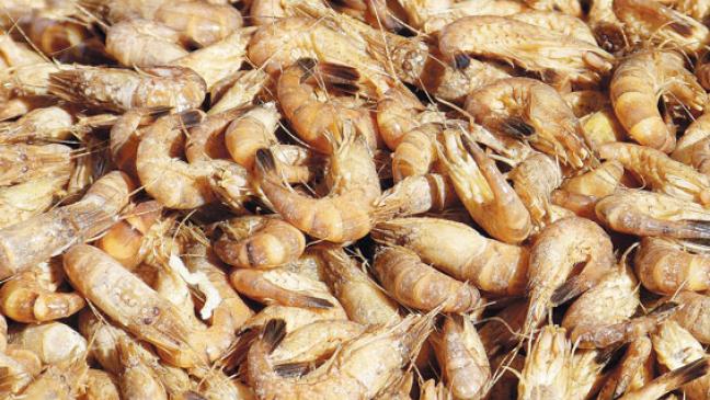 Kein Fang ab Freitagmittag