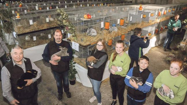 Rheiderländer:  Erfolg in Neermoor