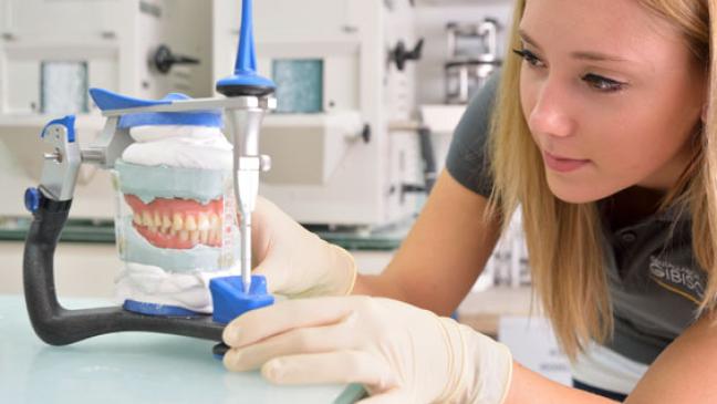 Im Handwerk läuft es wie geschmiert