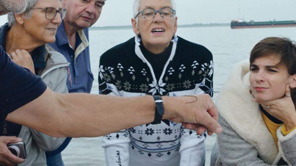 Auf dem Handrücken liegt eine Seenadel. © Foto: Muising