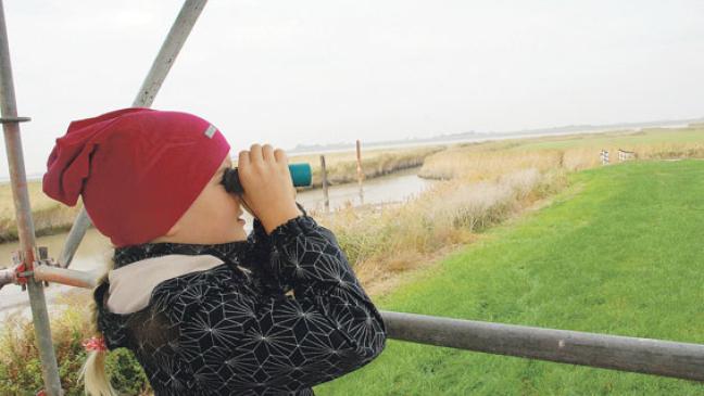 Vogelfestival mit vielen Besuchern und wenigen Vögeln