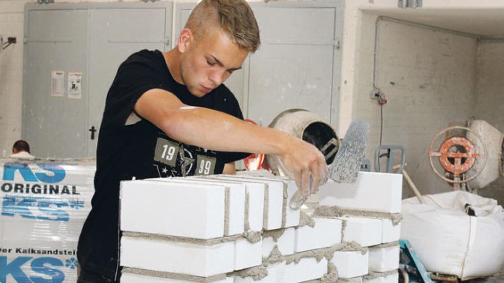 Die Baubetriebe haben deutlich mehr Maurer eingestellt als noch im Vorjahr. © Foto: Handwerkskammer