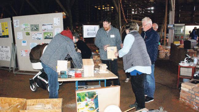 Gänse und ein paar gefiederte Einzelgänger