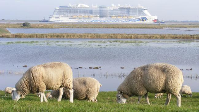 »Aida Nova« mit Flüssigerdgas betankt