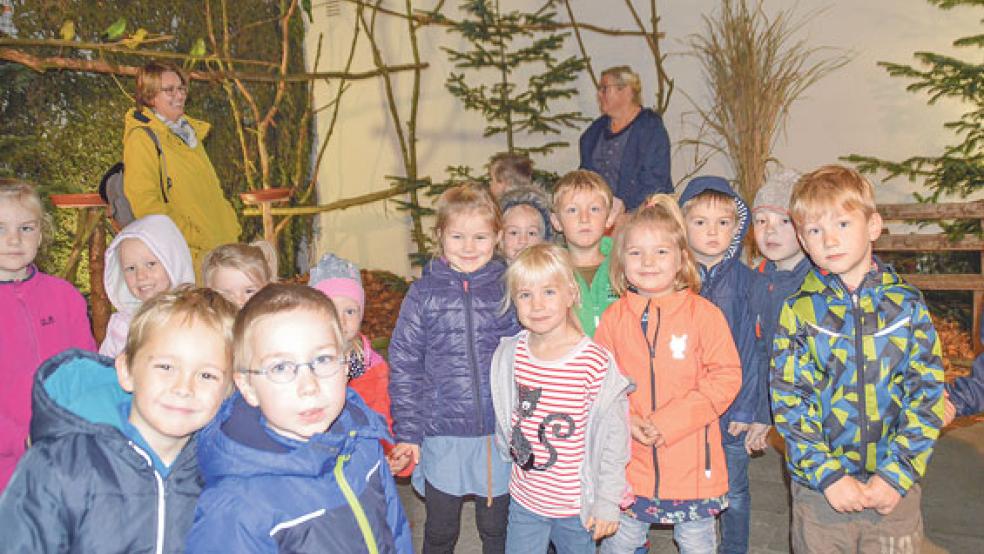 Vogel mach mal Piep: Darauf mussten die Kinder des Kindergartens aus Möhlenwarf nicht lange warten. Denn in der Kleintierhalle in Weener herrscht zur Zeit ein ständiges Piepen und Flattern von mehr als 280 Vögeln.  © Foto: Himstedt