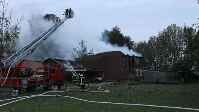 Hund aus Flammen gerettet