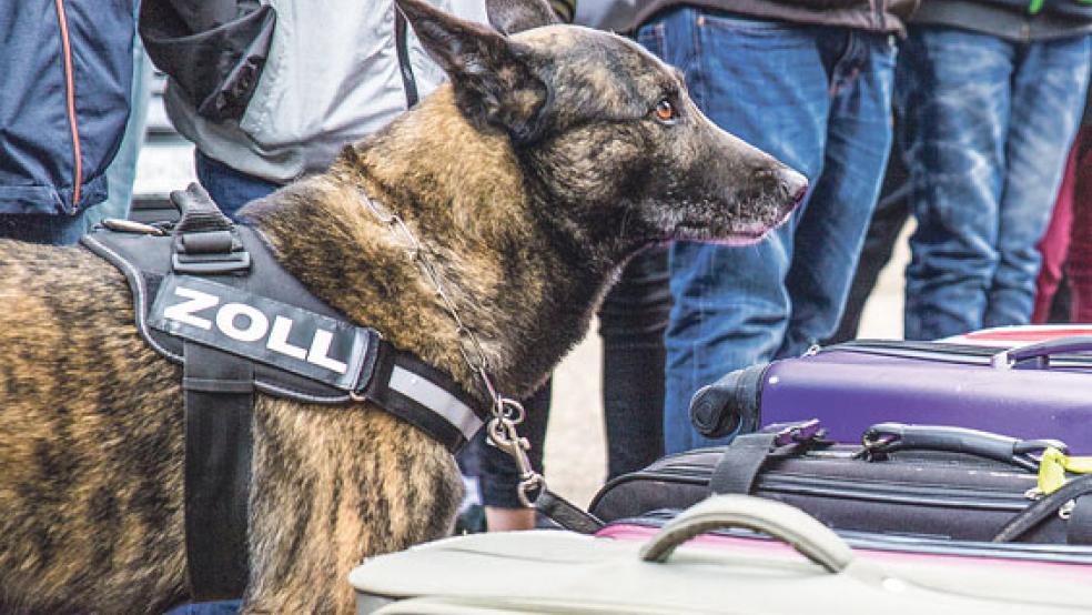 Auch Spürhunde wurden bei einer großen Kontrollaktion in Ostfriesland eingesetzt. © Archivfoto: Bundespolizei