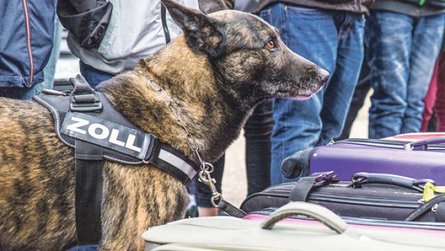 Schlag gegen die Drogenszene