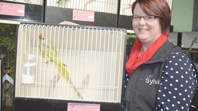 Pflaumenkopf zum schönsten Vogel gekürt