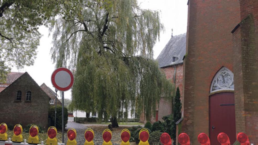 Die bildprägende Silberweide an der reformierten Kirche in Weener ist innen hohl und soll am Sonnabend gefällt werden, bis dahin bleibt der Weg zwischen Kirchplatz und Norderstraße gesperrt. © Foto: Kuper