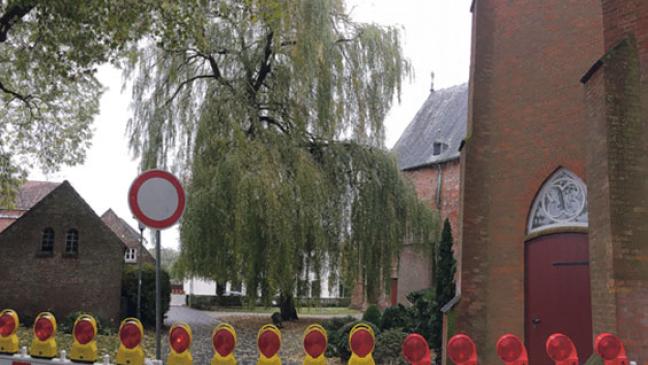 Silberweide an der Kirche wird gefällt