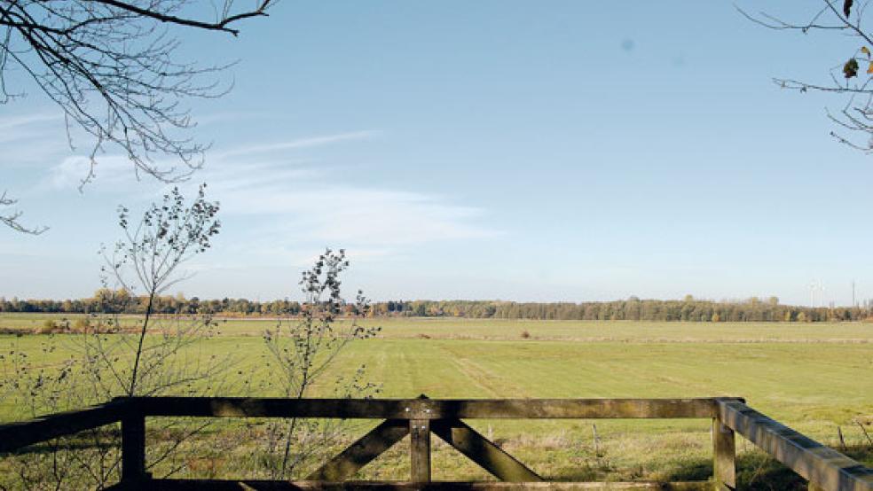 Mit dem »Flächenpool Meentelande« wird sich der Bau- und Umweltausschuss am 15. November befassen. © Foto: Hoegen