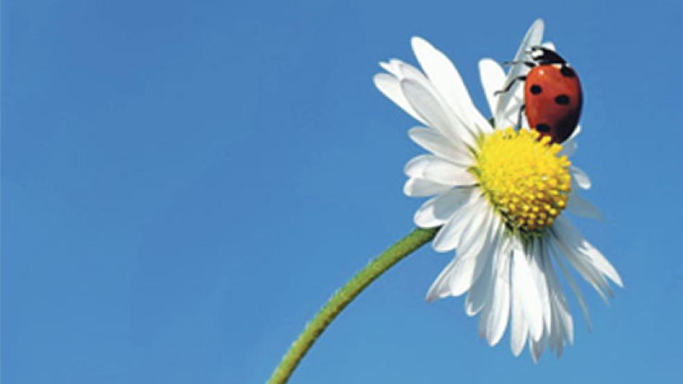 Der Anteil von Öko-Betrieben an der landwirtschaftlich genutzten Gesamtfläche lag im Jahr 2017 im Landkreis Leer bei 3,4 Prozent. © Symbolfoto: Pixabay