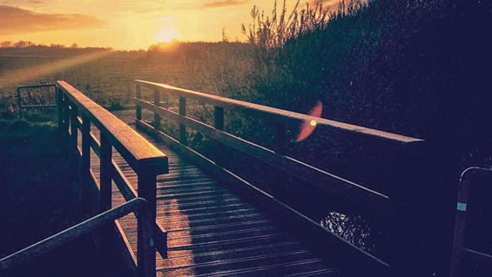 Die Meentelande haben sich als Flächenpool für Kompensationsmaßnahmen zu einem beliebten Naherholungsgebiet mit einer vielfältigen Tier- und Pflanzenwelt entwickelt. © Foto: Hanken