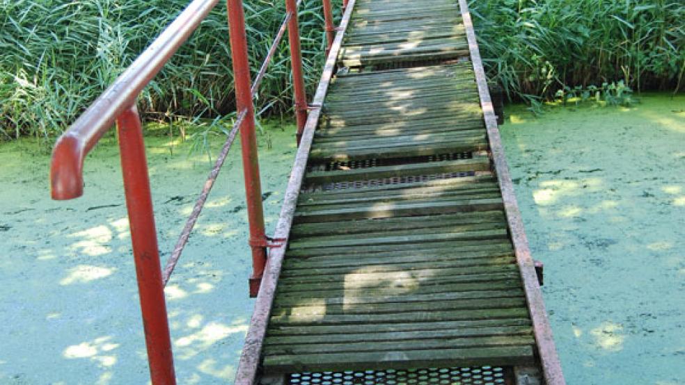 Die Brücke zum Jemgumer Judenfriedhof war marode und ist mittlerweile abgebaut worden. Am 4. Dezember geht es darum, ob eine neue Brücke kommt. © Archivfoto: Hoegen