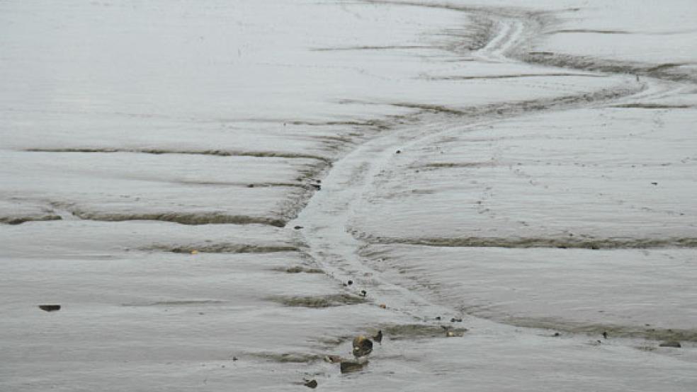 Vom »Problemstoff« zum wertvollen Rohstoff: Schlick soll mehrere Zukunftsprobleme im Rheiderland lösen. Jetzt wird ein Pilot-Projekt vorbereitet. © Archivoto: Hanken